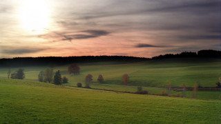Green fence trees sunset cloudy 3 - a fence and trees free wallpaper