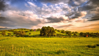 Field house cloudy sunset trees - a few cloud above free wallpaper