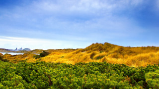 Grassy field mountain lake autumn - a grassy field free wallpaper
