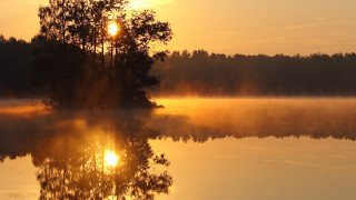 Lake tree sunset fog autumn - a tree in the middle of it free wallpaper