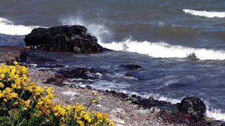 Rocky shore waves yellow flowers - over the water free wallpaper