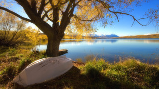 Surfboard lake shore trees mountains - under free wallpaper for desktop