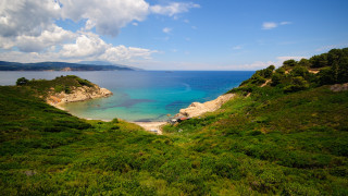 Bascove beach panorama mountains forest - a view of a beach free wallpaper