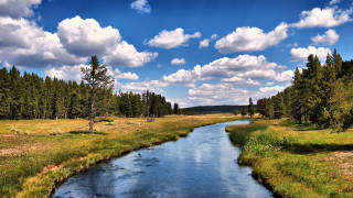River forest bridge sky hill - beautiful landscape free wallpaper
