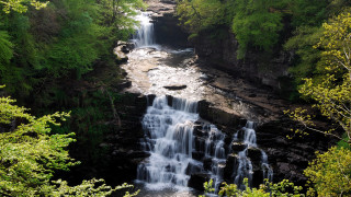 Waterfall forest bench river scene - a waterfall in a forest free wallpaper
