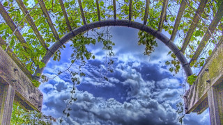 Cloudy sky park bench tree - a tree in the foreground free wallpaper