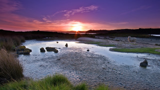 Sunset river rocks grass sheep - a sunset over a river free wallpaper