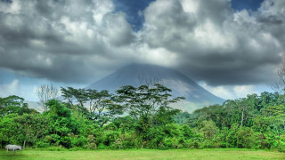 Horse grazing mountain field trees - beautiful landscape free wallpaper