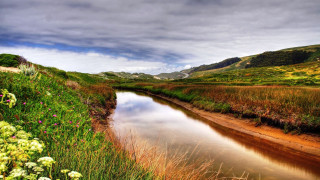 Lush green river flower hillside - beautiful landscape free wallpaper