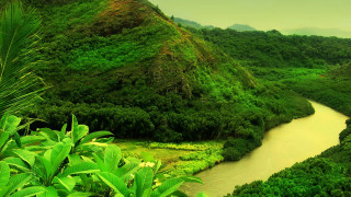 River forest hillside mountain green - afewerk tekle free wallpaper