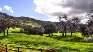 Lush green hillside wooden fence - in the foreground free wallpaper