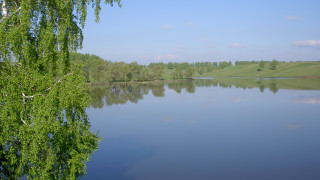Lake tree sky clouds forest 2 - lake free wallpaper