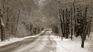 Snowy road trees winter blackandwhite - andor basch free wallpaper