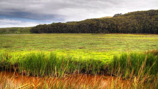 Grassy field stream mountain clouds - a stream free wallpaper