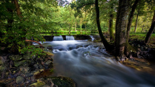 Small waterfall forest rocks stream - a small waterfall in a forest free wallpaper