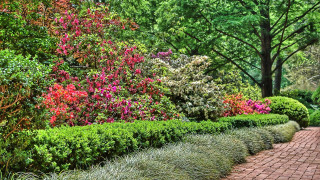 Brick path bushes flowers park - a park setting free wallpaper