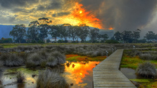 Wooden walkway marshy landscape autumn - alexander brook free wallpaper