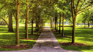 Park path trees autumn bench - a sidewalk free wallpaper
