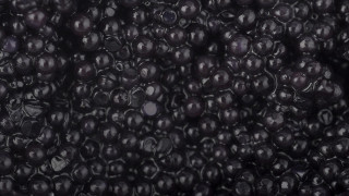 Blackberries water macro aesthetic monochrome - carpoforo tencalla free wallpaper