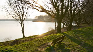 Tranquil grassy hill lake trees - the background and a sun free wallpaper