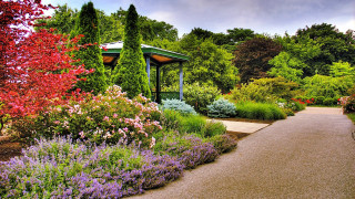 Park pathway green gazebo flower - art free wallpaper