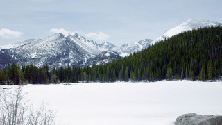 Snowy mountain forest bush branch - a snowy field free wallpaper