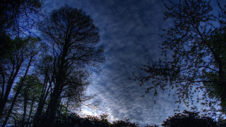 Blue sky clouds trees autumn - benoit b. mandelbrot free wallpaper