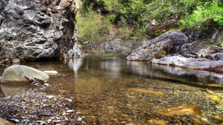 River forest rocks trees cliff - alexander brook free wallpaper