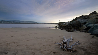 Driftwood beach dusk cloudy sky - beach free wallpaper