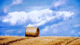 Hay bale field blue sky 3 - photorealistic imagery free wallpaper for desktop