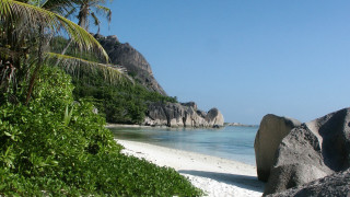 Beach palm rocks sky nature - camille bouvagne free wallpaper