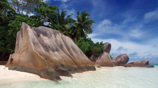 Large rock beach ocean palm - a large rock free wallpaper