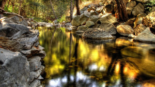 Forest river rocks reflection impressionist - a stream free wallpaper
