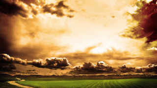 Green field dirt road cloudy - a green field free wallpaper