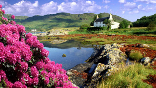 House lake flower mountain sky - a hill free wallpaper