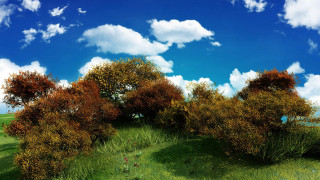 Grassy field trees clouds blue - a grassy field free wallpaper