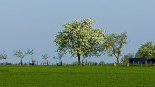 Tree fence sky bench nature - beautiful landscape free wallpaper