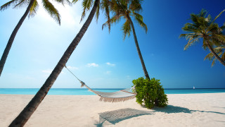 Hammock palm trees beach sailboat - two palm tree free wallpaper