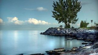 Tree shore ocean clouds sky - a rocky shore free wallpaper