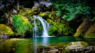 Waterfall forest mossy rocks stream 7 - mossy rock and trees free wallpaper