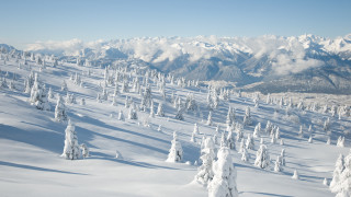 Snowy mountain trees cityscape bridge - a snowy mountain free wallpaper