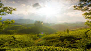 Lush green hillside cloudy sky 2 - the cloud above free wallpaper
