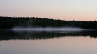 Lake forest sunset fog mountains - water and trees free wallpaper