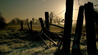 Fence foggy sunset nature forest - depth of field free wallpaper