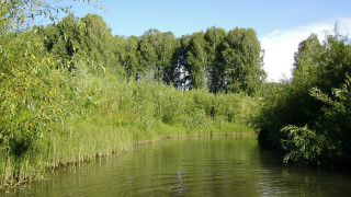 River trees boat nature sky - the background and a boat free wallpaper