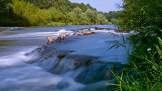 River water trees bushes ecological - a bunch of water free wallpaper