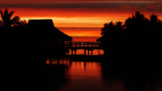 Sunset dock house palm trees - palm tree free wallpaper