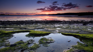 Sunset water rocks algae horizon - a sunset over a body of water free wallpaper