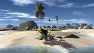 Tropical beach palm trees rocks - a tropical beach free wallpaper