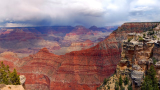 Canyon highcliff cloudy sky trees - david martin free wallpaper for desktop